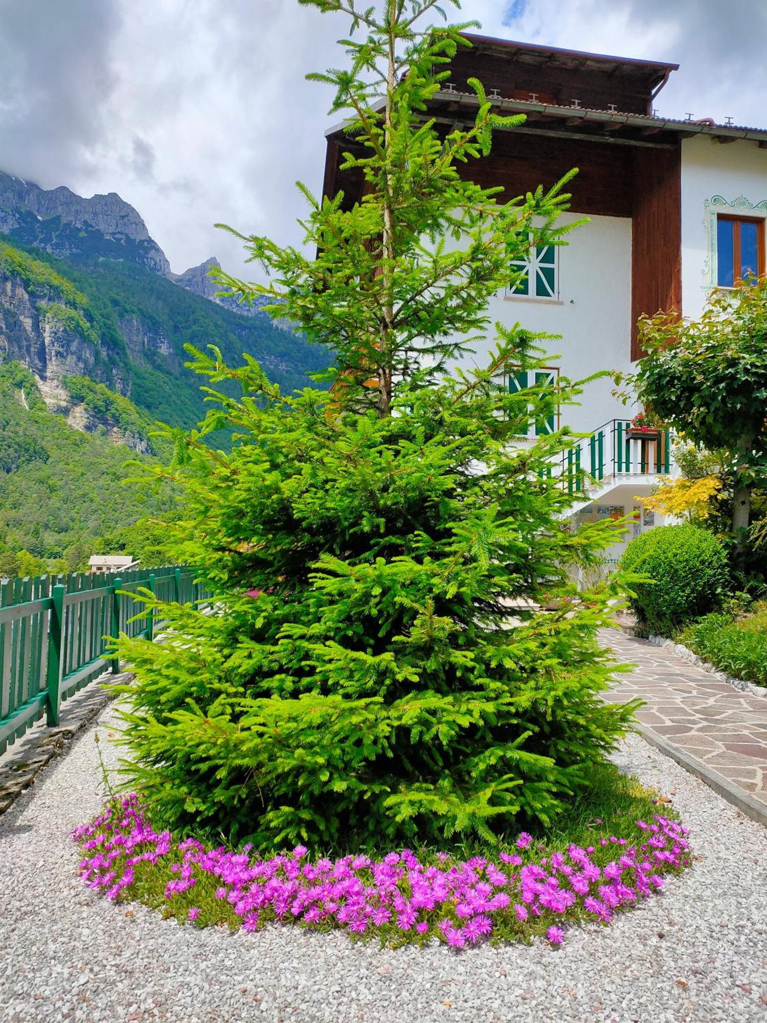 Villa Aprica Appartamenti Molveno Exterior foto